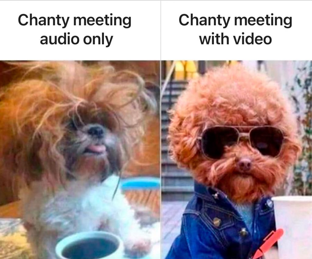 30+ Work From Home Memes: Funny Work Memes to Make You Laugh | Chanty