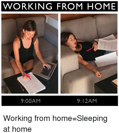 work from home related meme