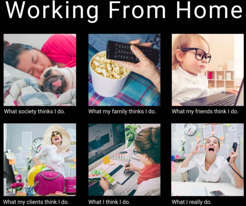 Funny Work From Home Employee Remote Worker Notebook: Funny